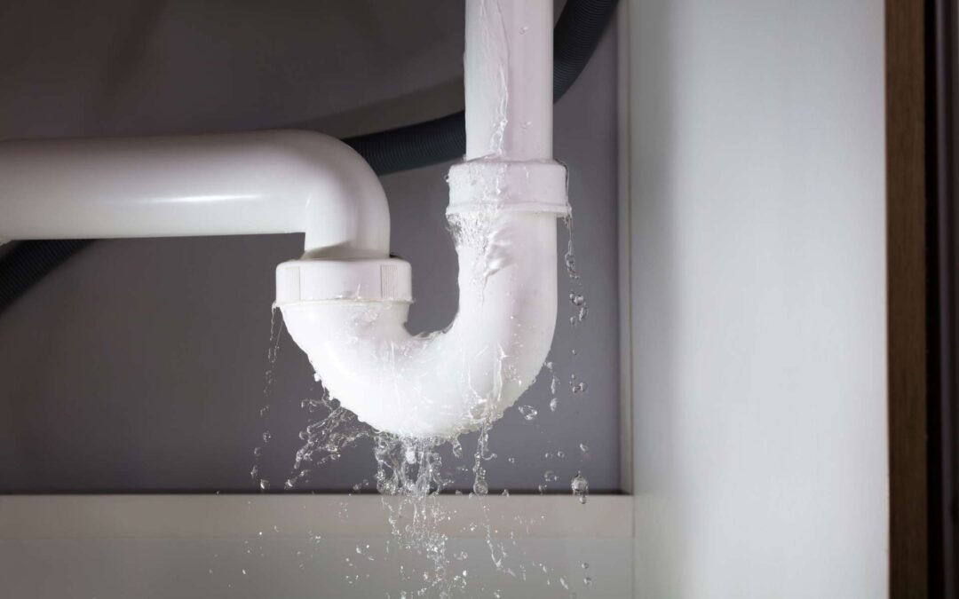 Water Leak in Your Home? How to Find It and Get It Fixed